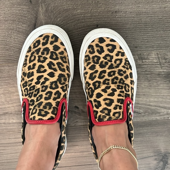 Custom Vans - Picture 5 of 7